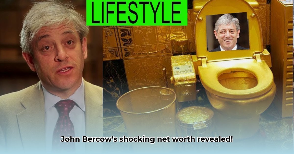 john-bercow-net-worth
